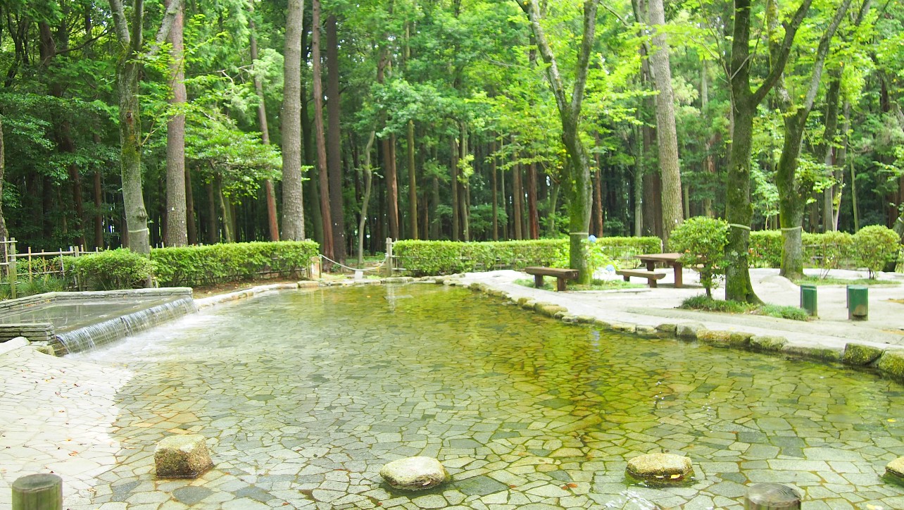 手賀の丘公園　じゃぶじゃぶ池