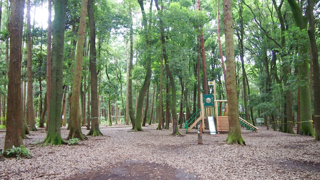 手賀の丘公園　アスレチックのあるフィールド