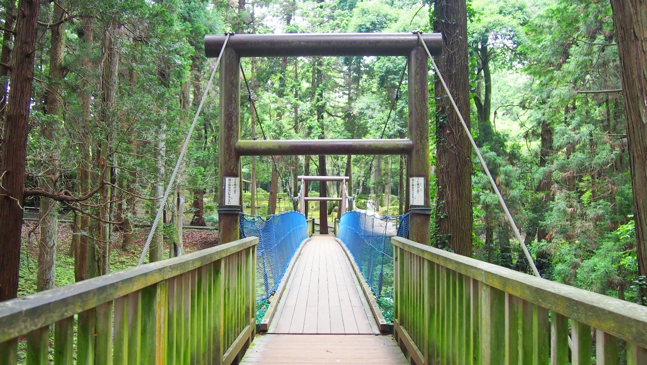 手賀の丘公園　吊り橋
