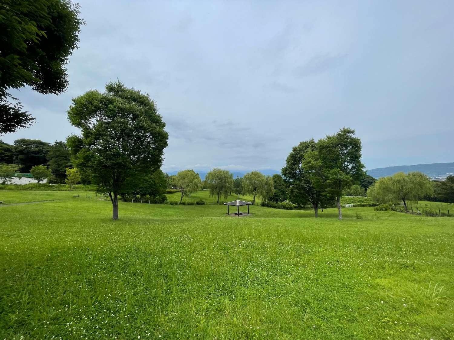 小田原諏訪の原公園　陽だまりの丘