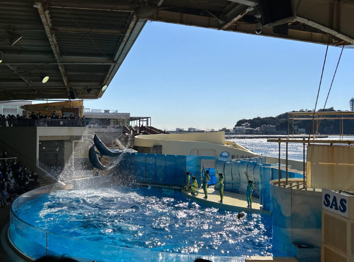 新江ノ島水族館