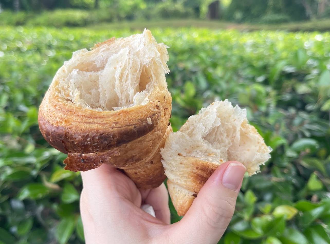 JUNkobo bakery6