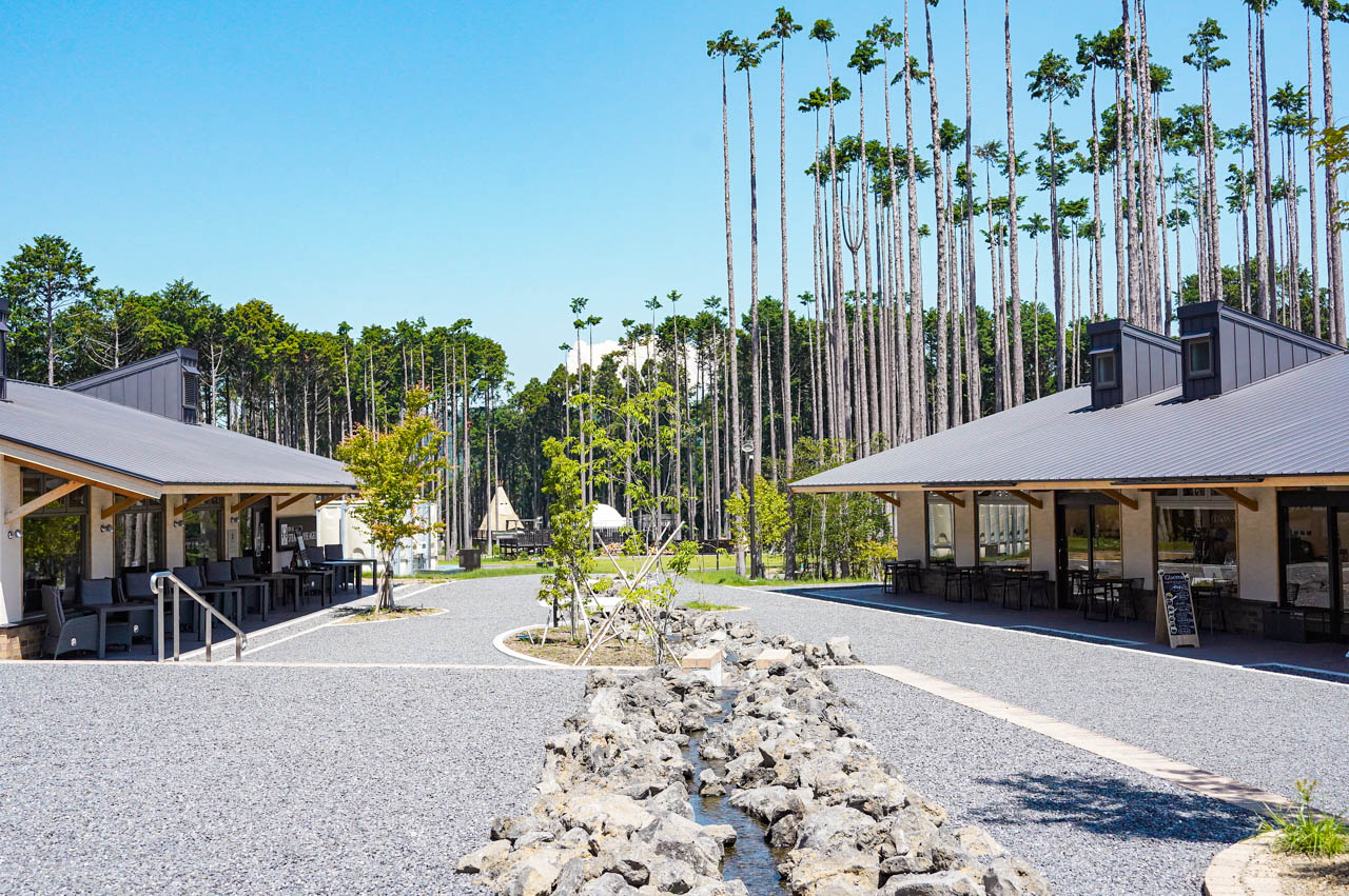 奏の森Resorts2