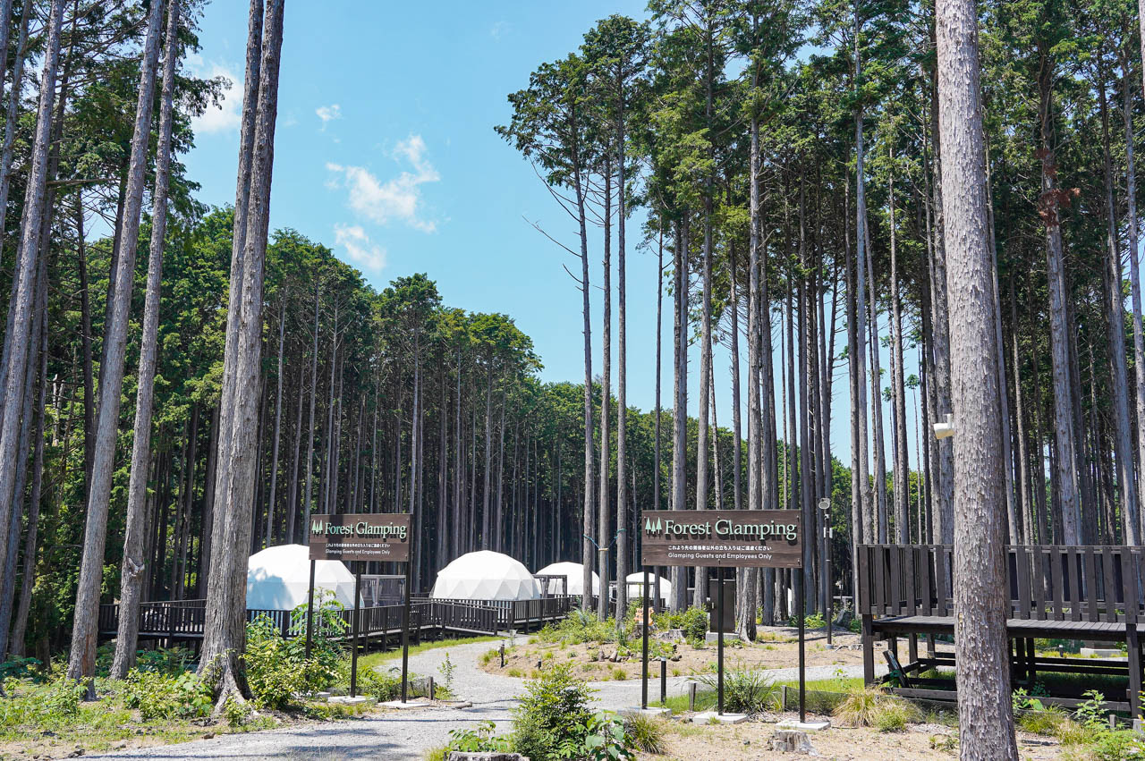 奏の森Resorts6