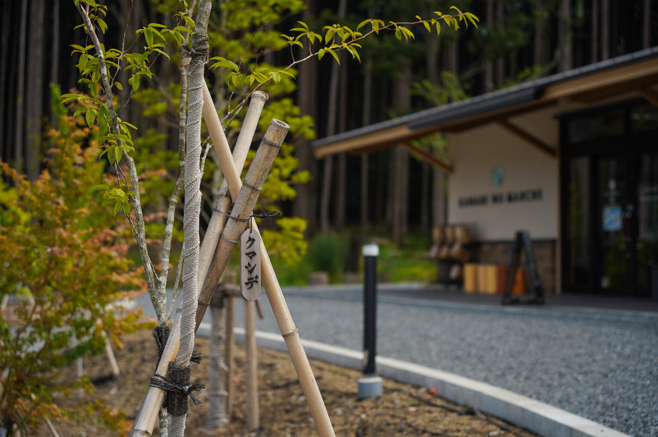 奏の森Resorts2a