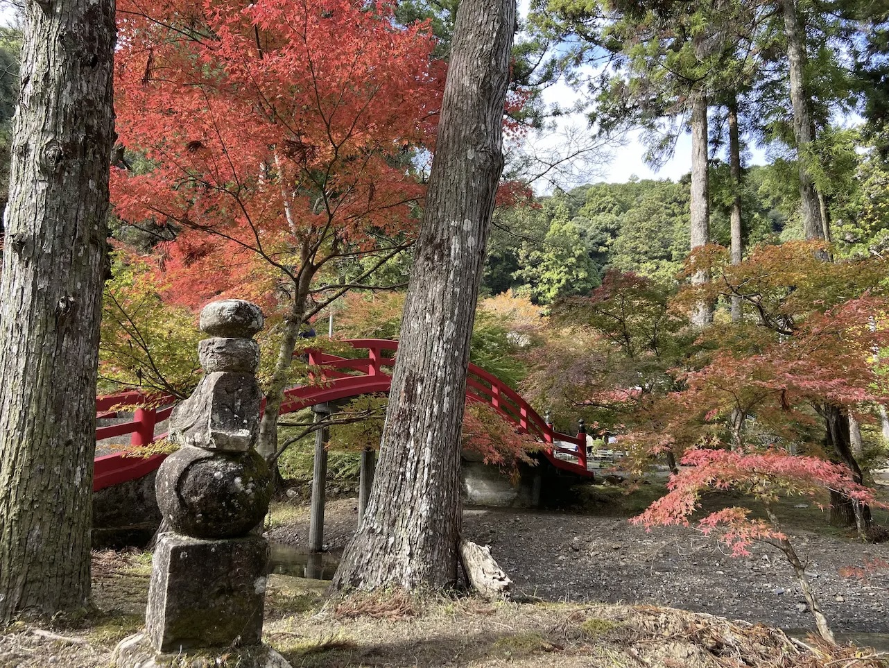 大洞院
