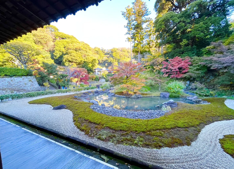 神奈川　秋の観光