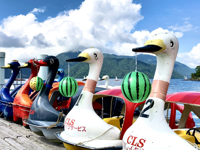 中禅寺湖スワンボートレース