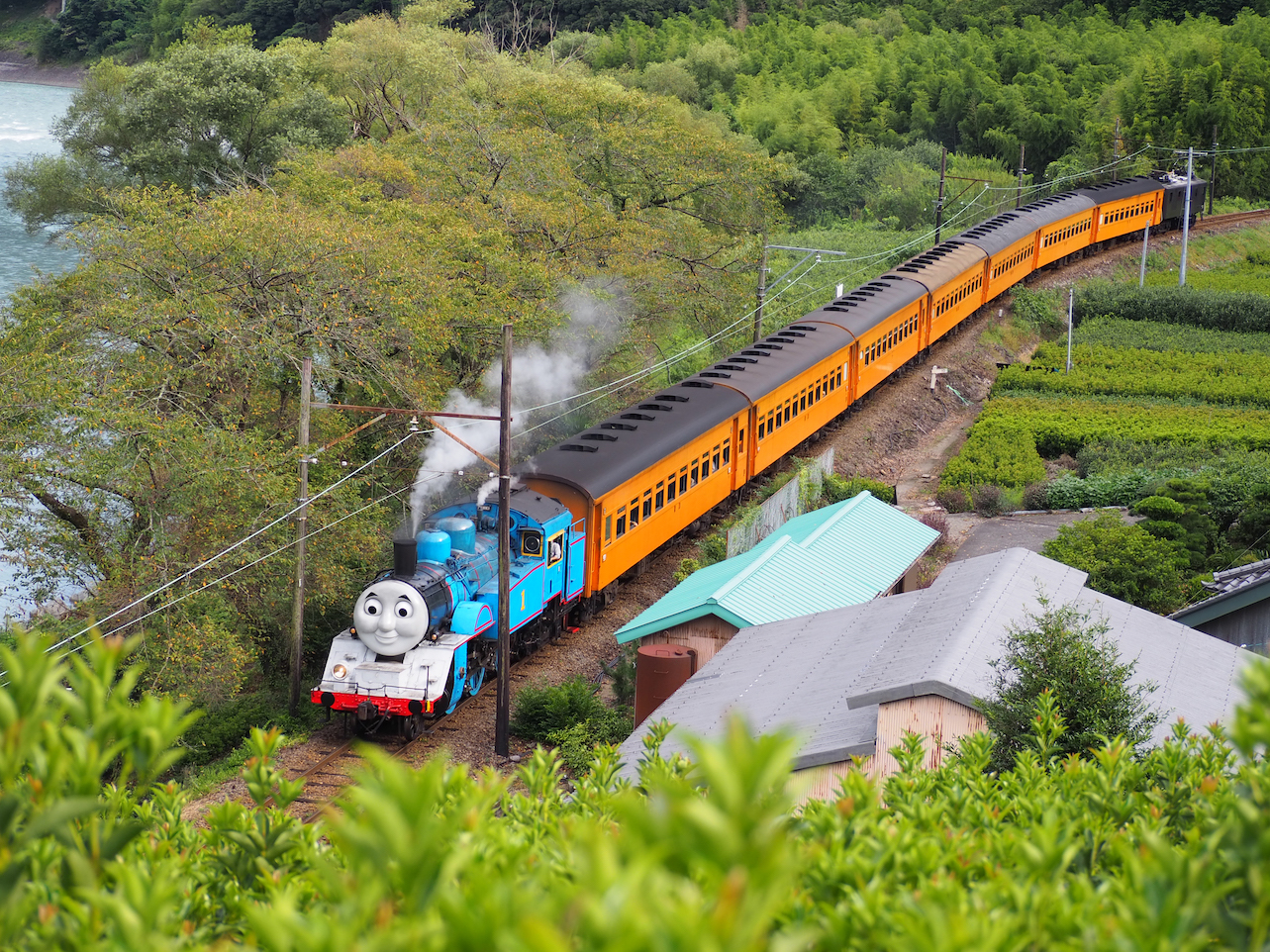 DAY OUT WITH THOMAS (TM) 2024①