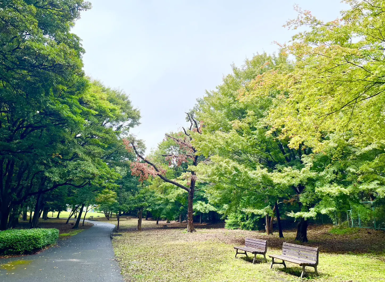 根岸森林公園