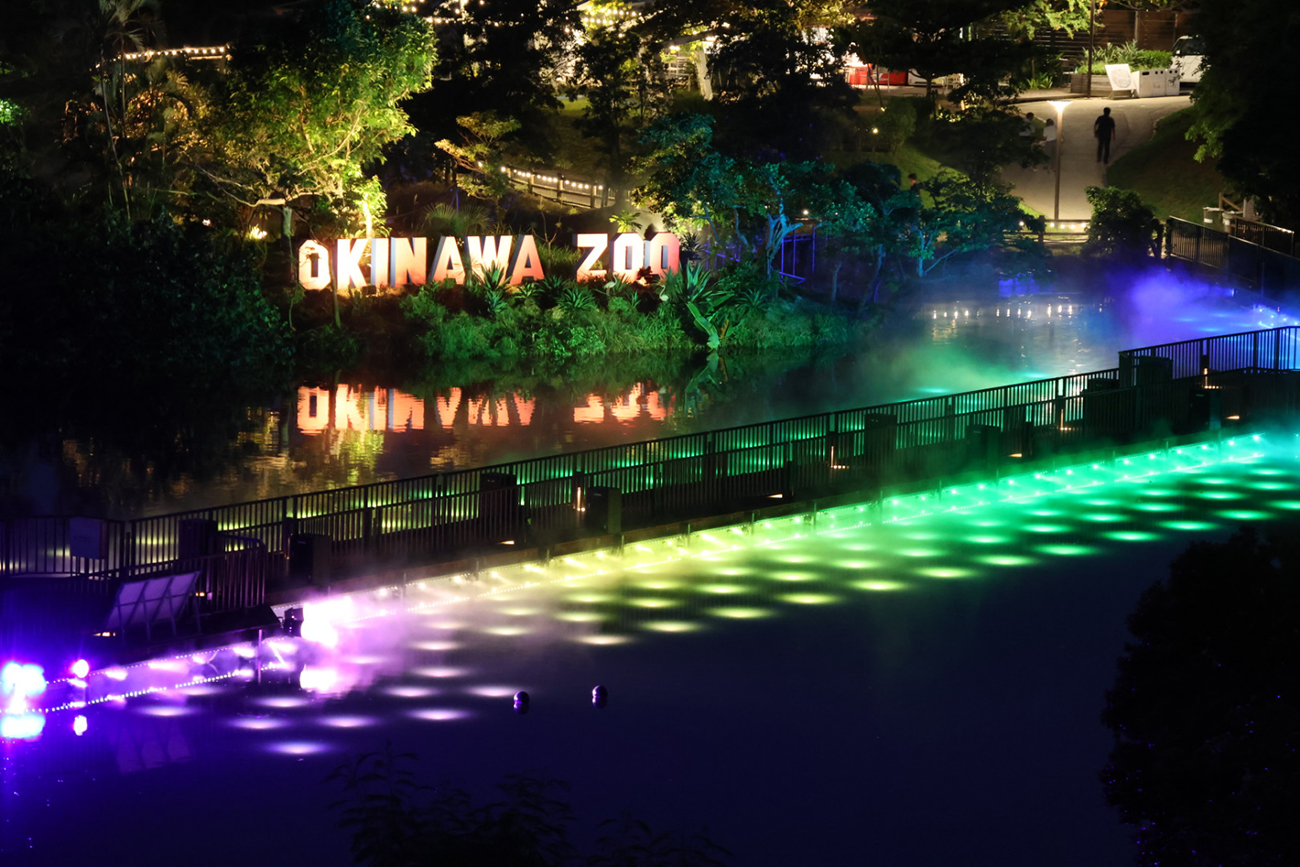 NIGHT ZOO
