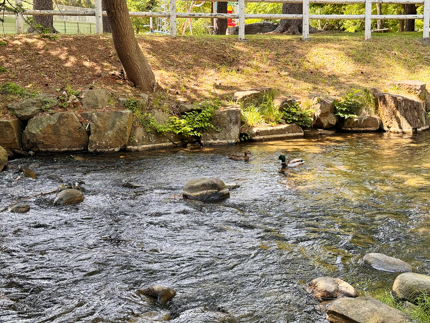 鴨々川