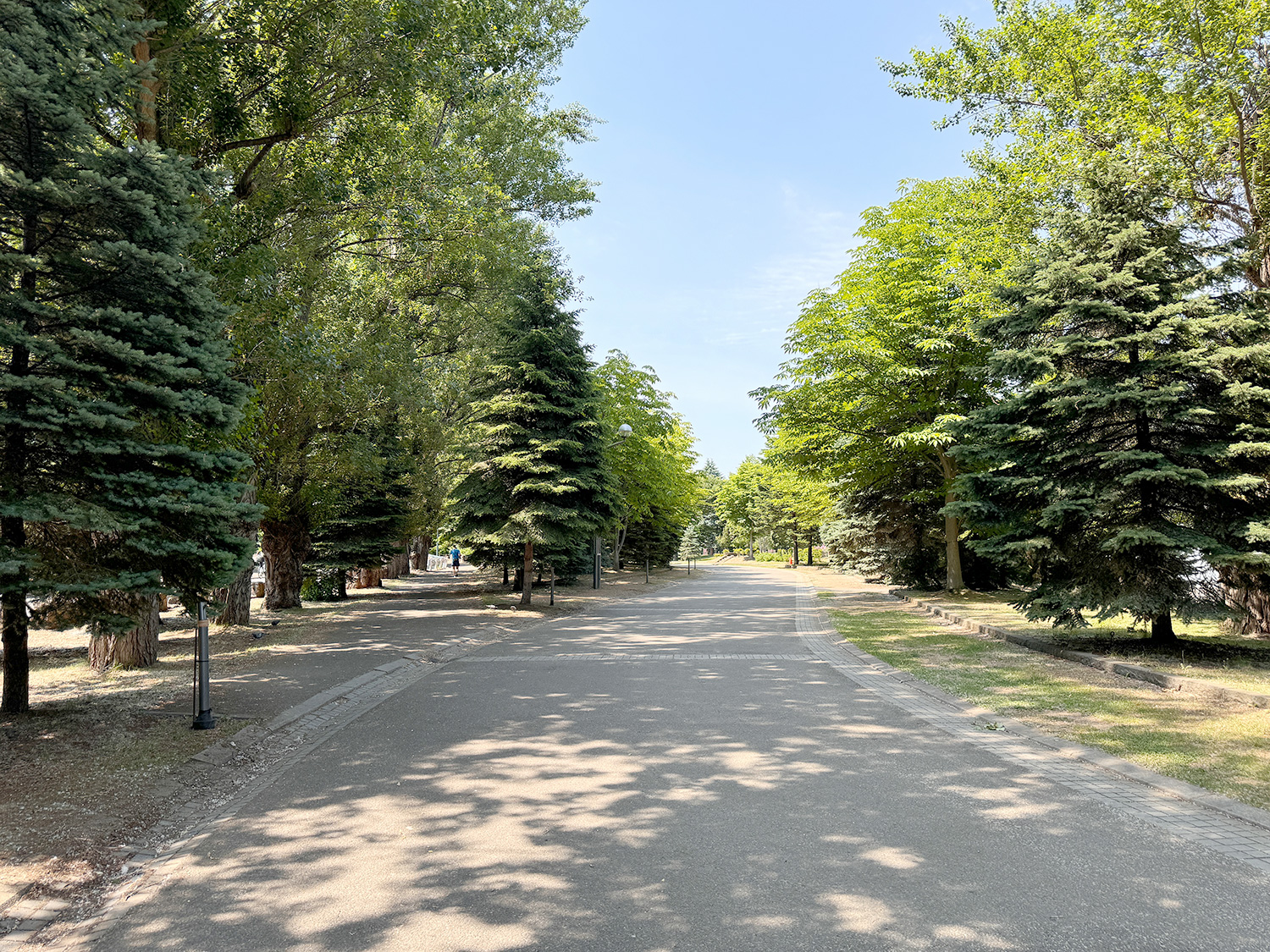 中島公園1