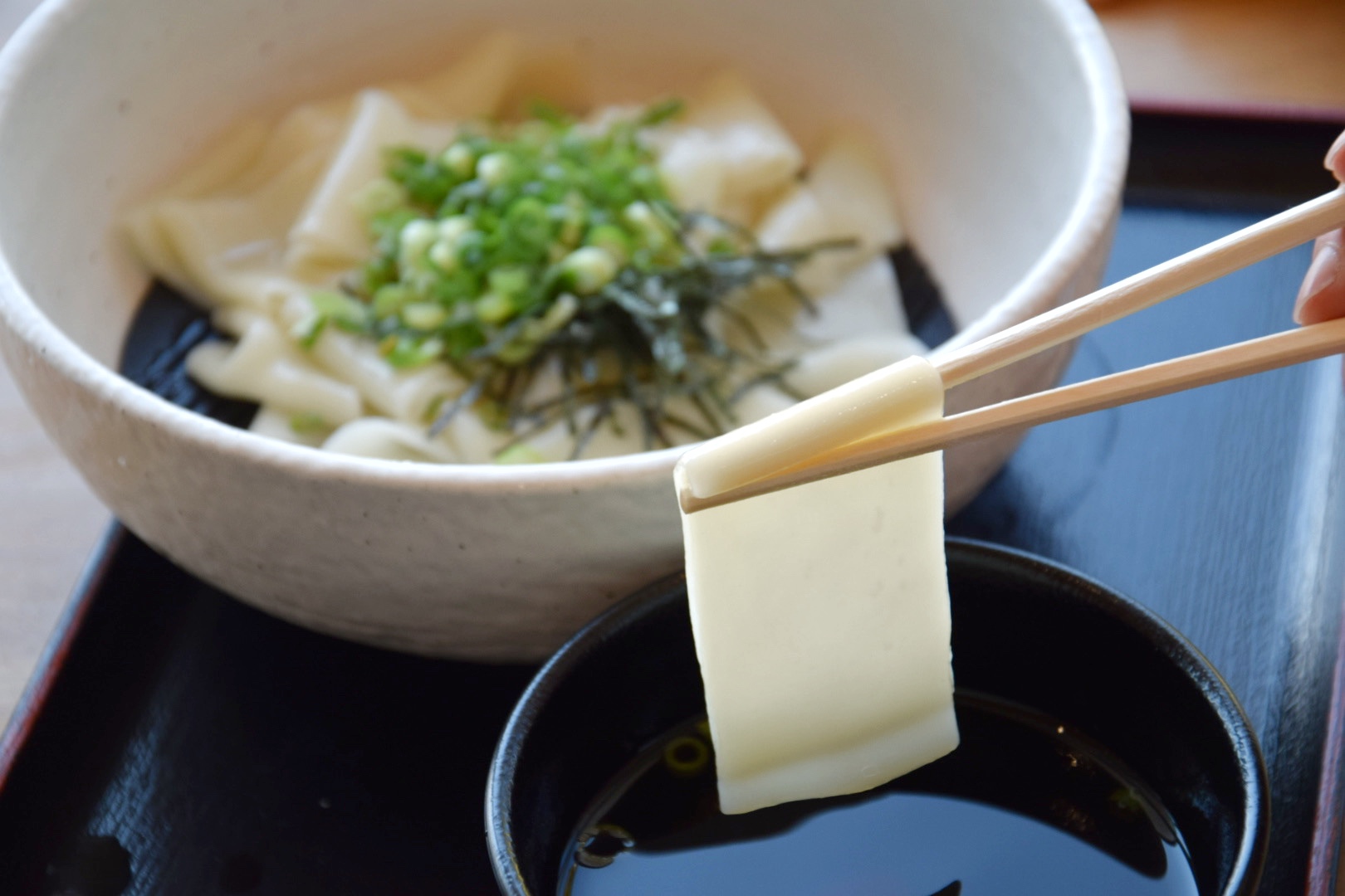 太田強戸パーキングエリア_ひもかわうどん②