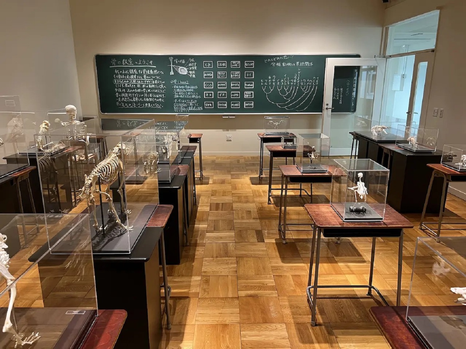 ふじのくに地球環境史ミュージアム