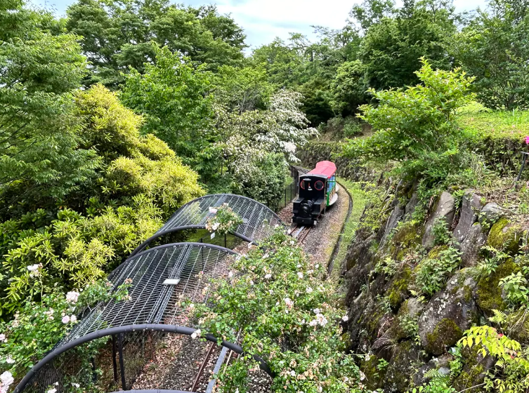 小田原こどもの森公園わんぱくらんど１