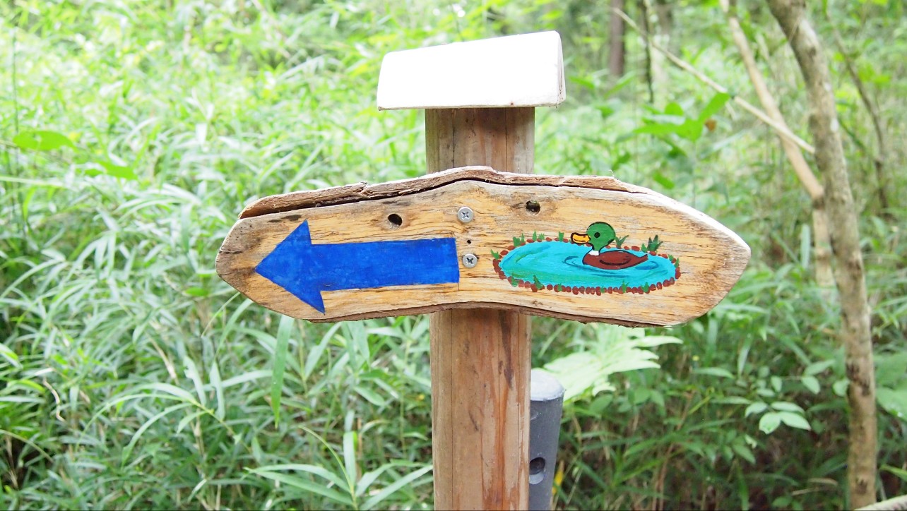 こんぶくろ池自然博物公園　手作りの看板
