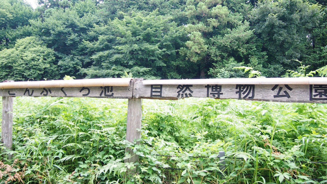 こんぶくろ池自然博物公園の手作りゲート