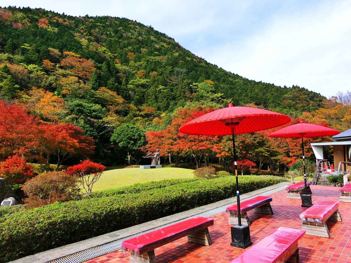 昭和の森会館