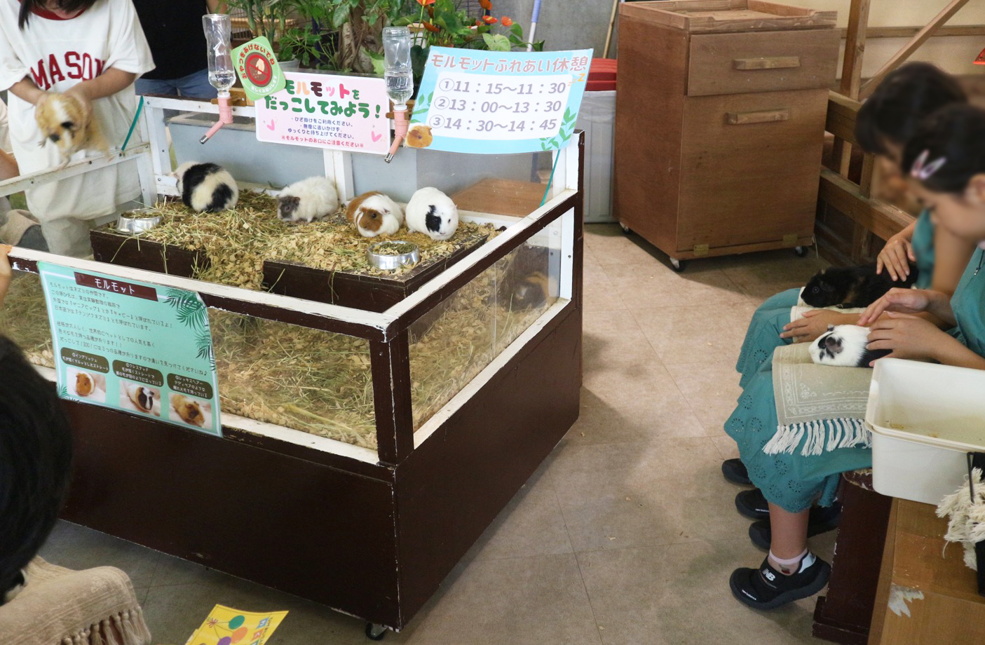 だっこして！ZOO！4