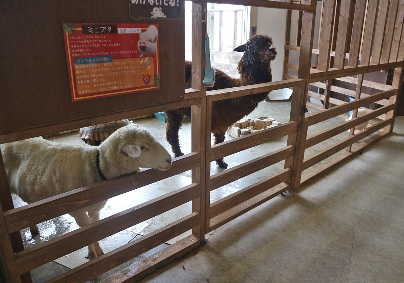 だっこして！ZOO！6