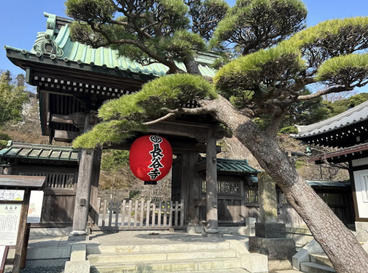 長谷寺