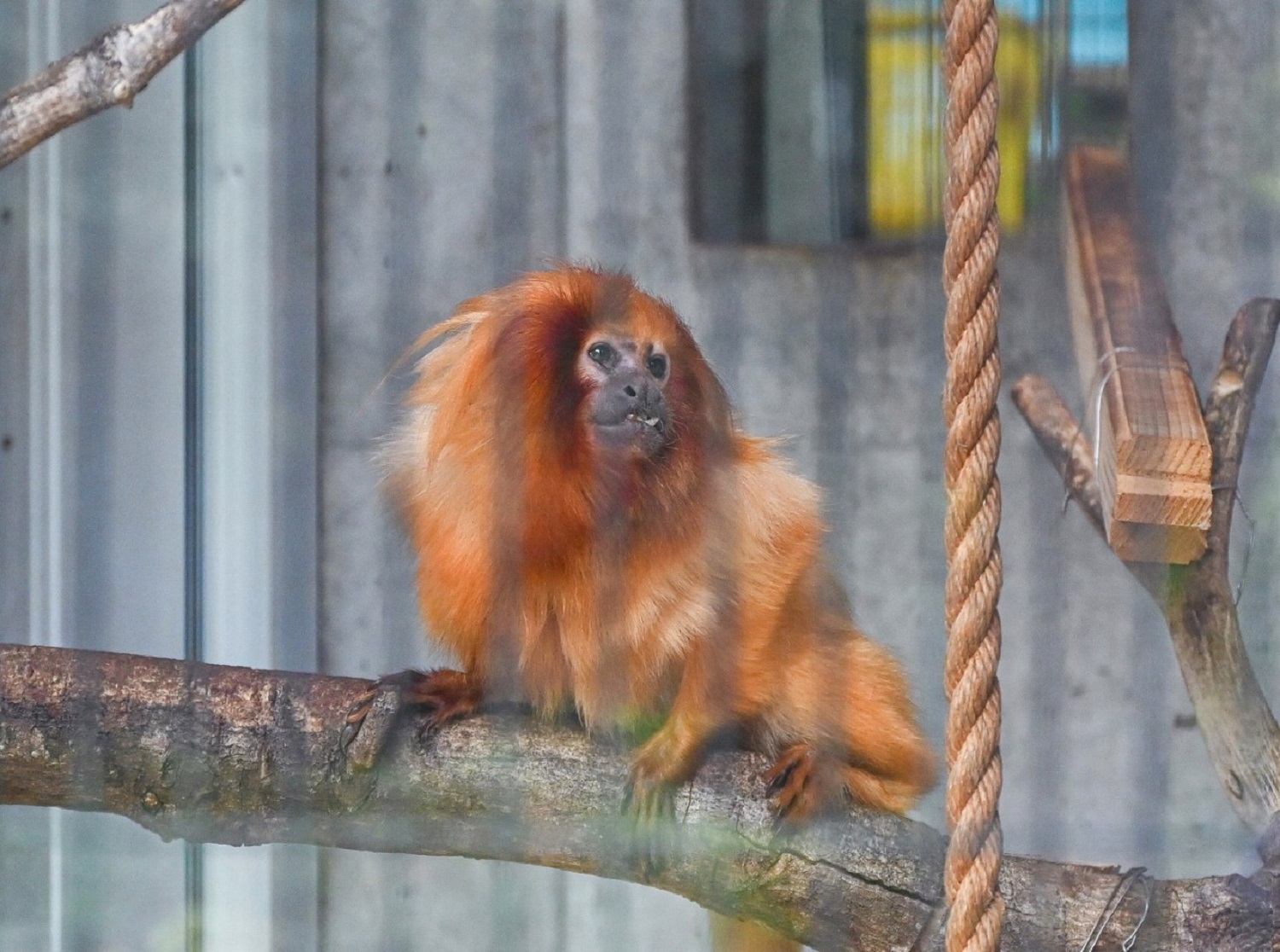 浜松市動物園