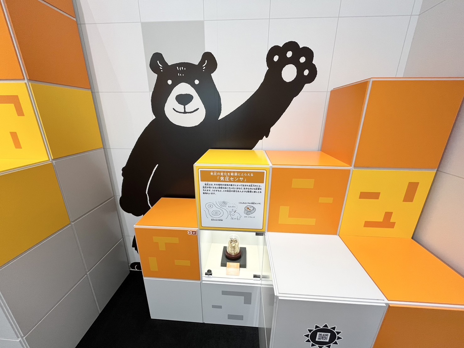 ディスカバーゾーン⑥