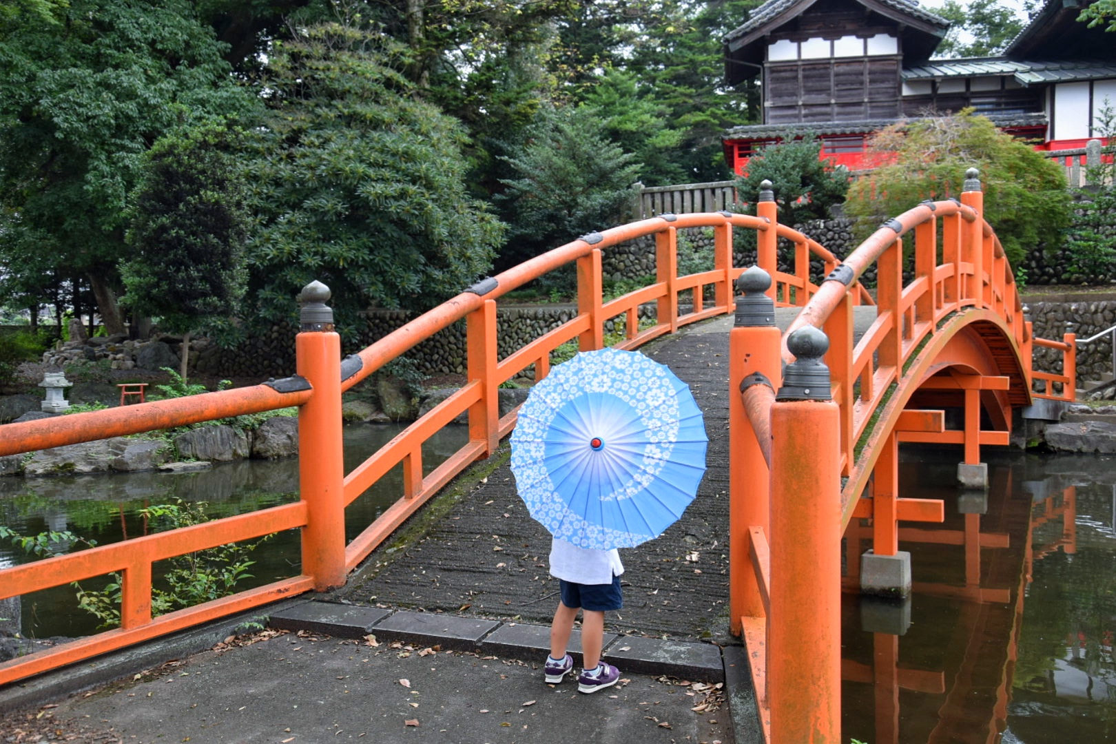 上州藤岡諏訪神社_和傘撮影