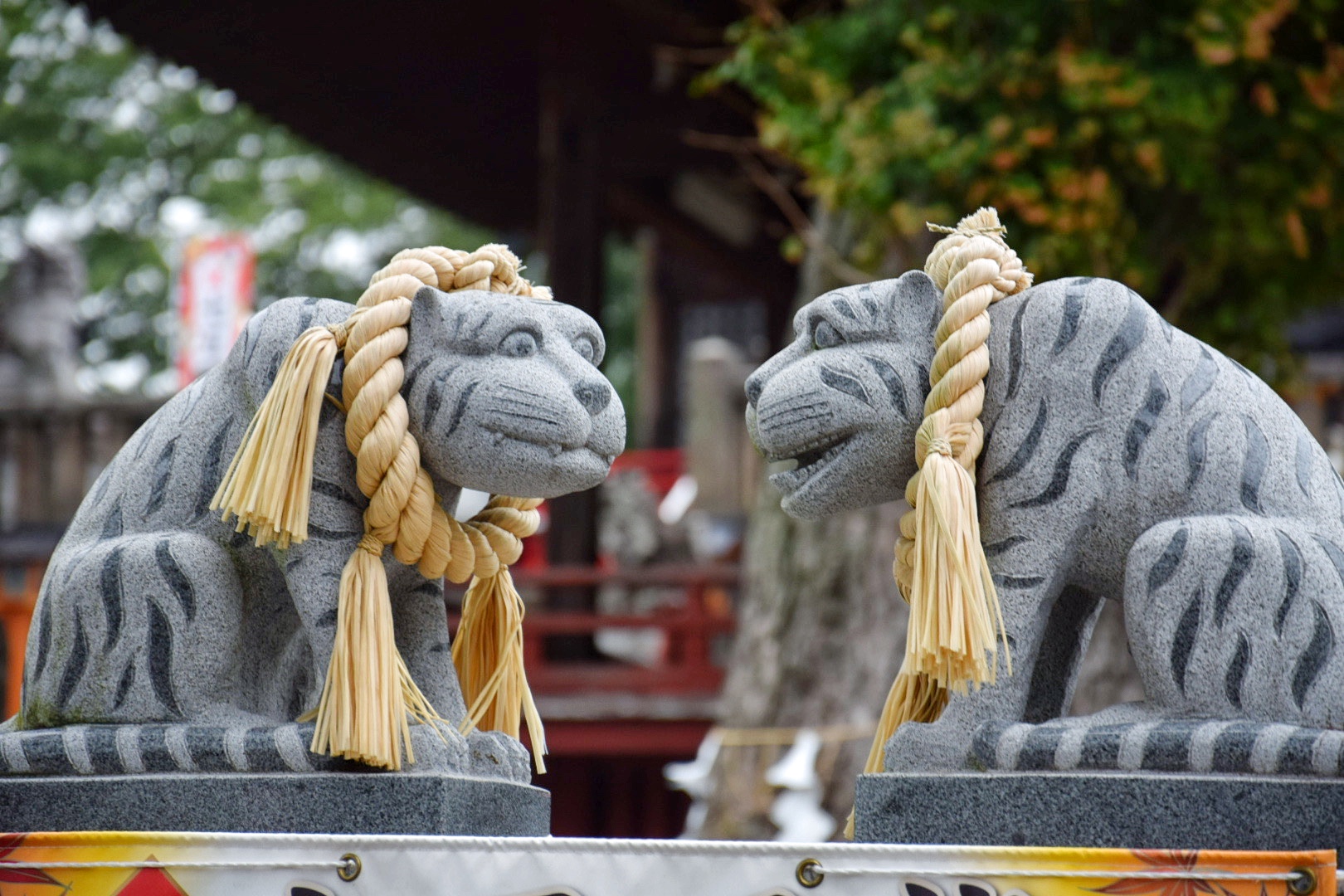 上州藤岡諏訪神社_新狛虎