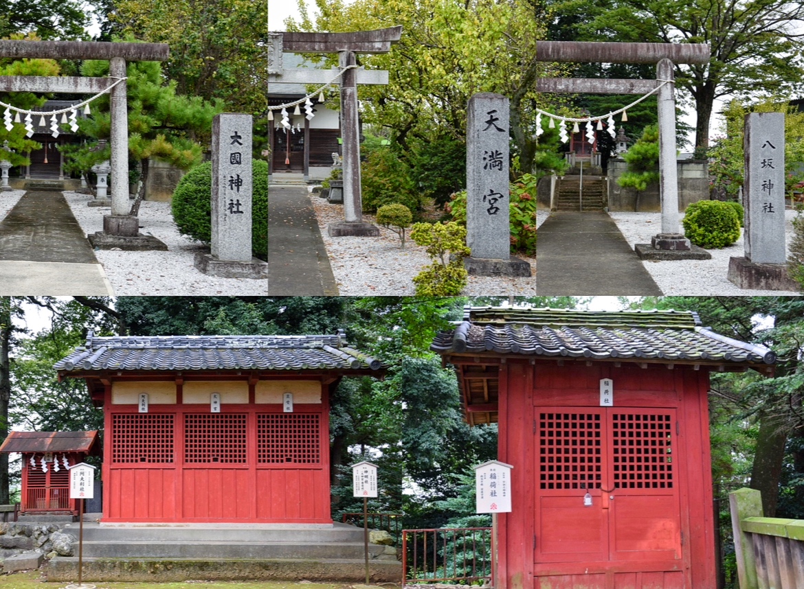 上州藤岡諏訪神社_大國神社_天満宮_八坂神社_三峯社_神明社_稲荷社_阿夫利社