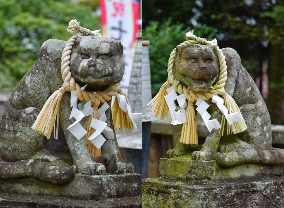 上州藤岡諏訪神社_阿吽の狛虎