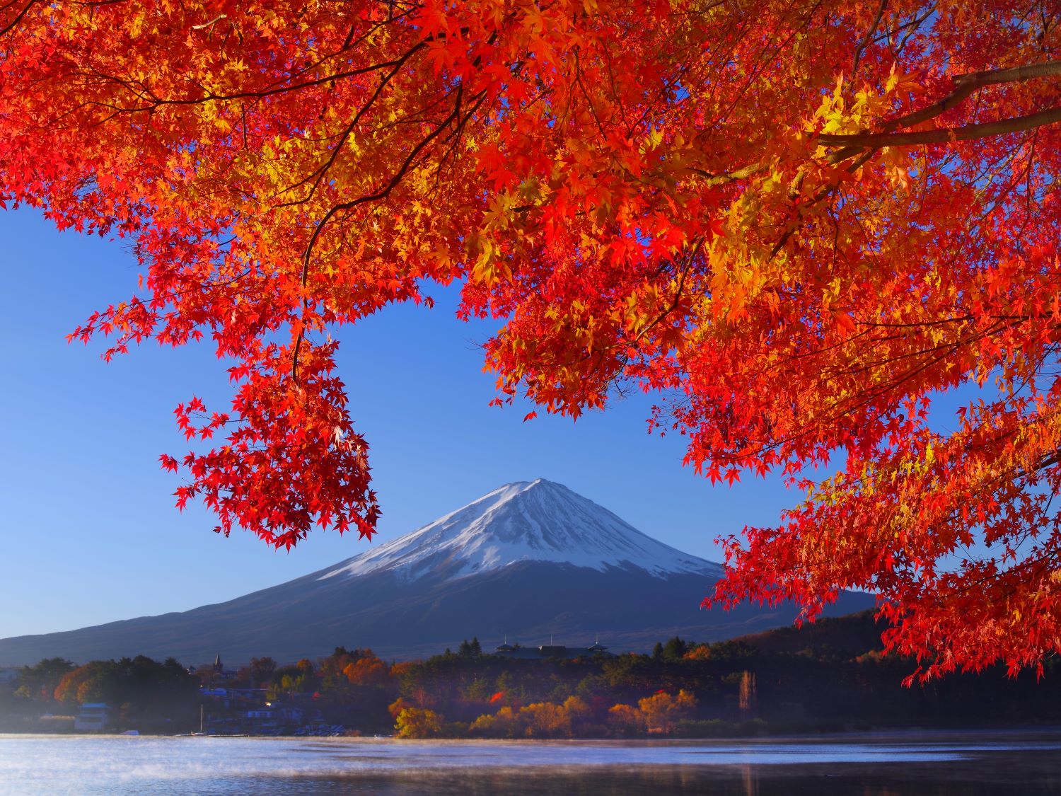 富士河口湖紅葉まつり