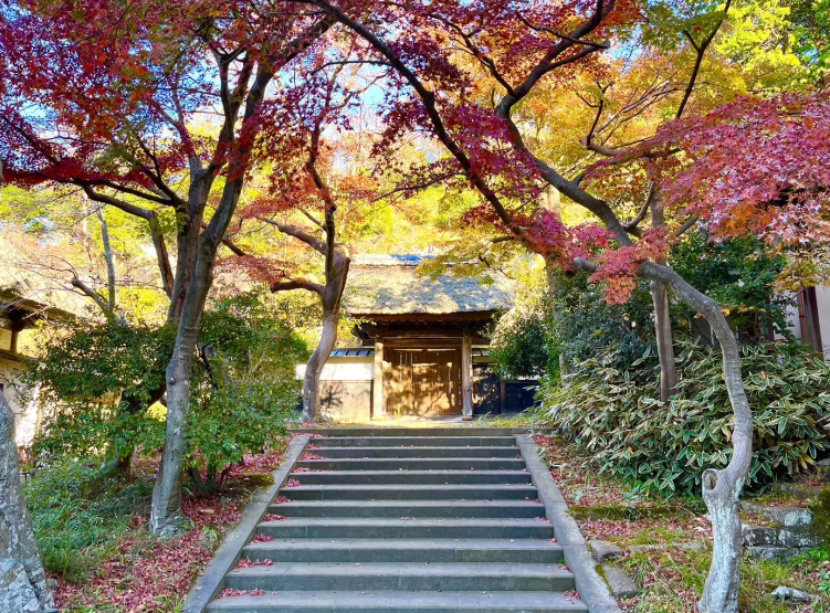 鎌倉の紅葉-円覚寺