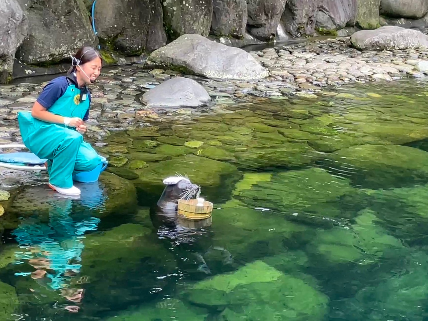 箱根園水族館6