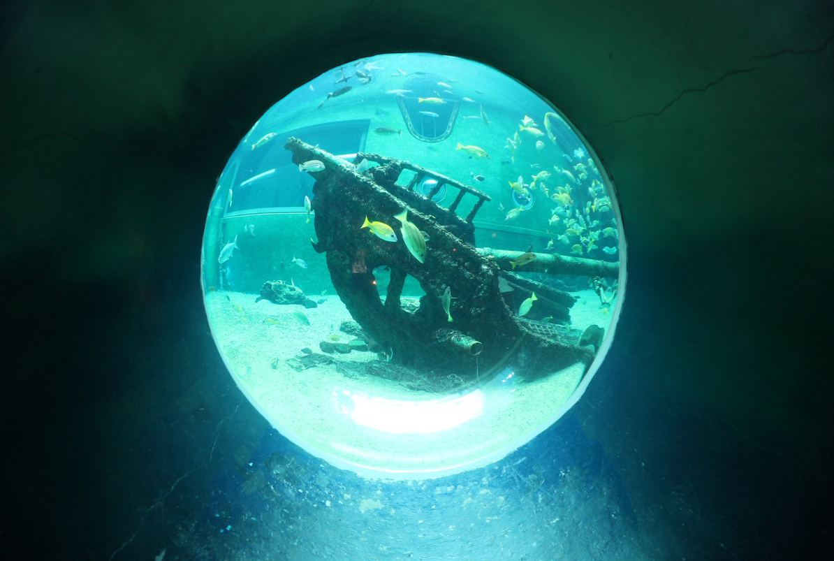 箱根園水族館3