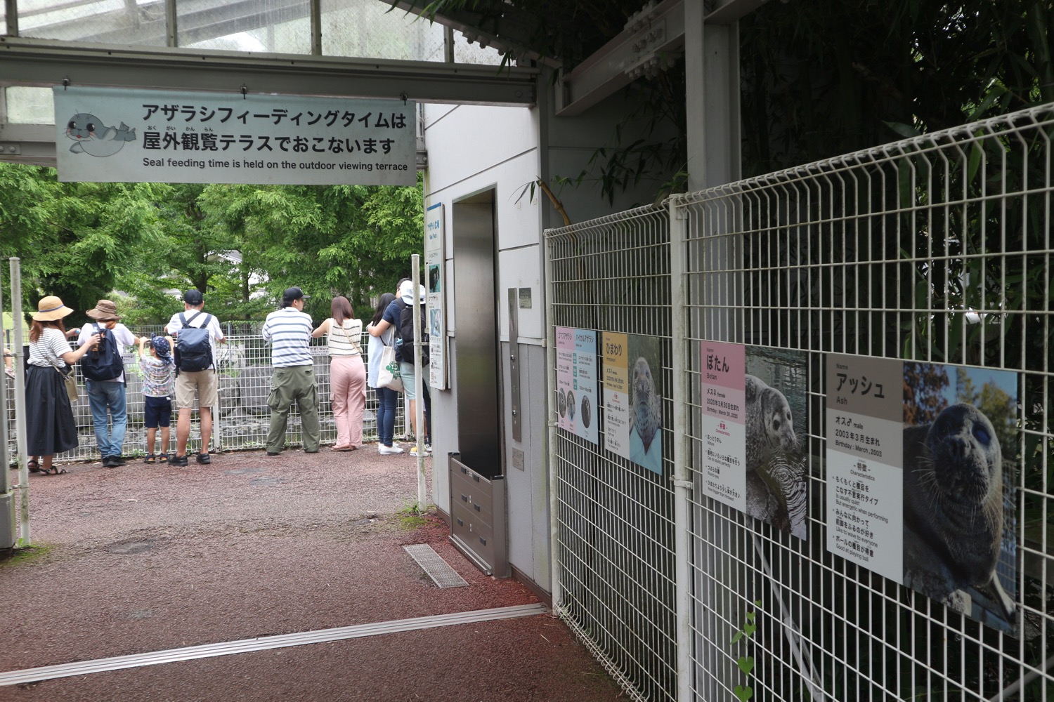 箱根園水族館5