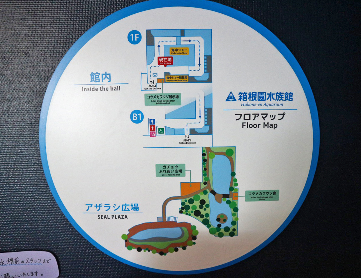 箱根園水族館