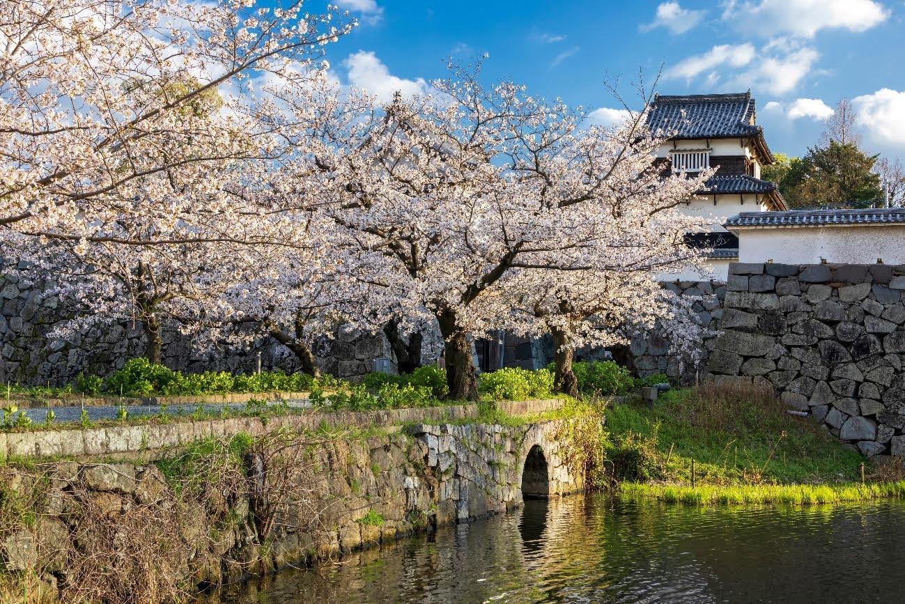 舞鶴公園