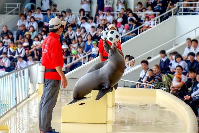 マリンワールド海の中道