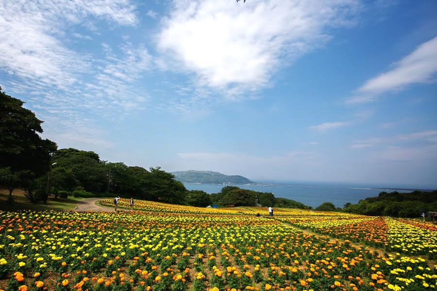 能古島