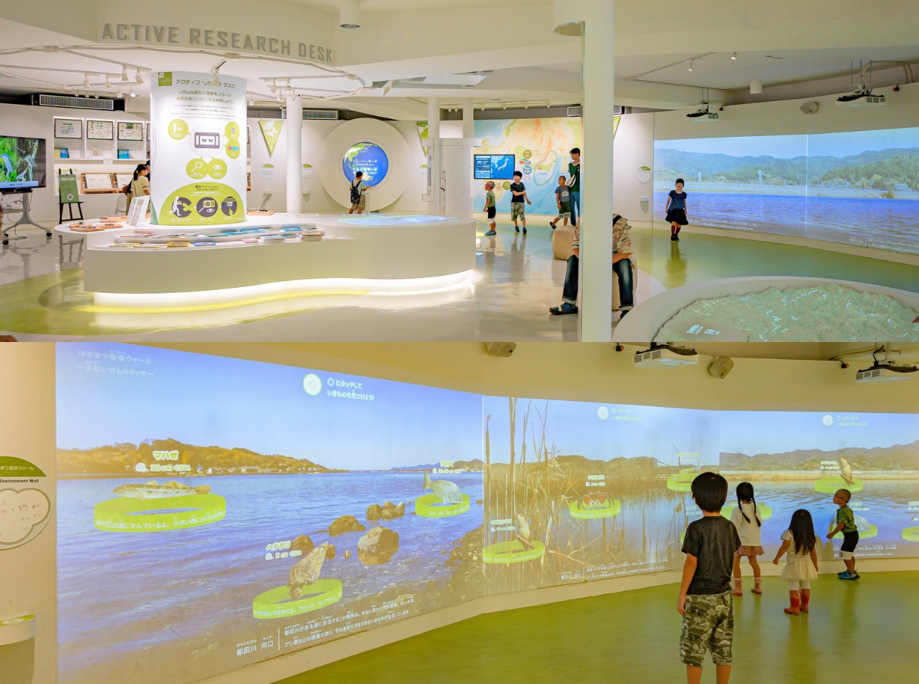 浜松科学館みらいーら_自然