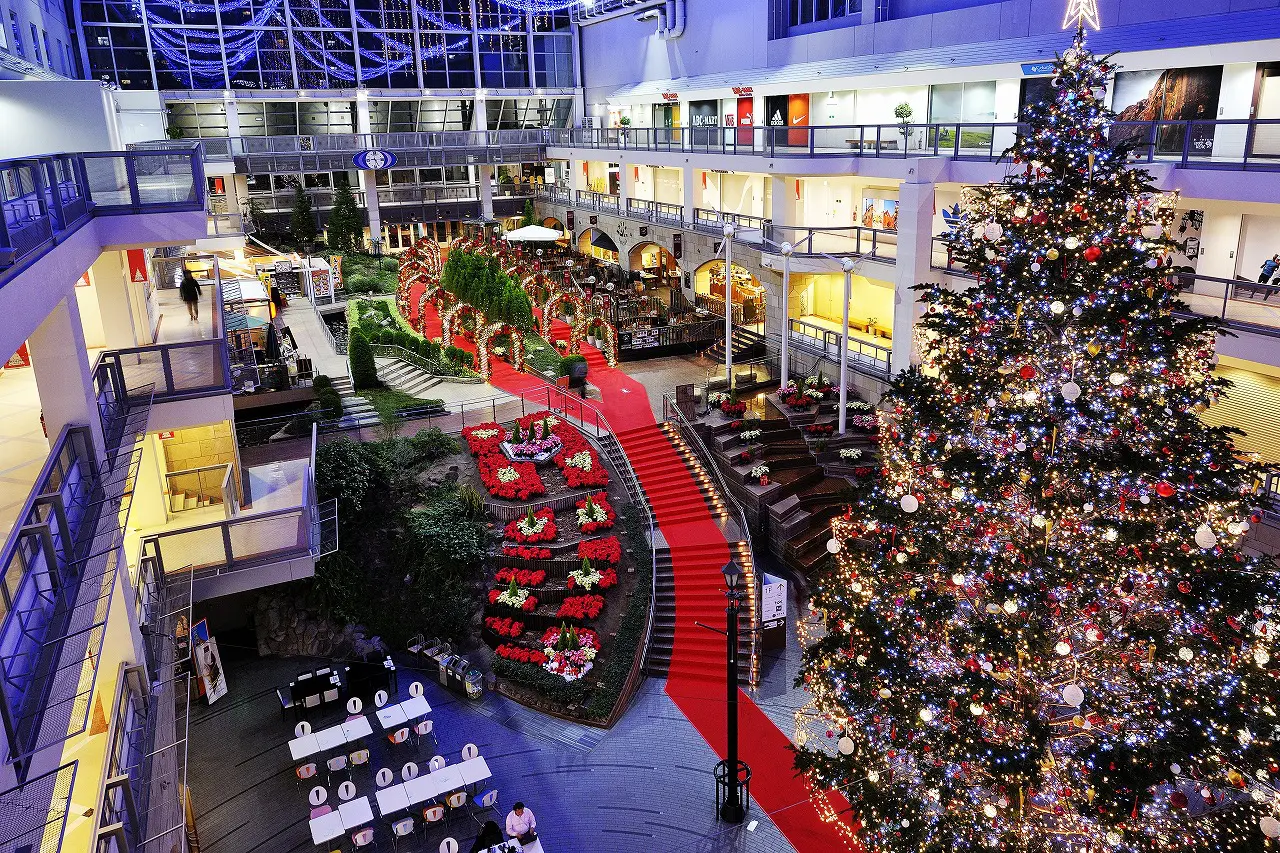 サッポロファクトリー ジャンボクリスマスツリー」迫力の巨大ツリーが