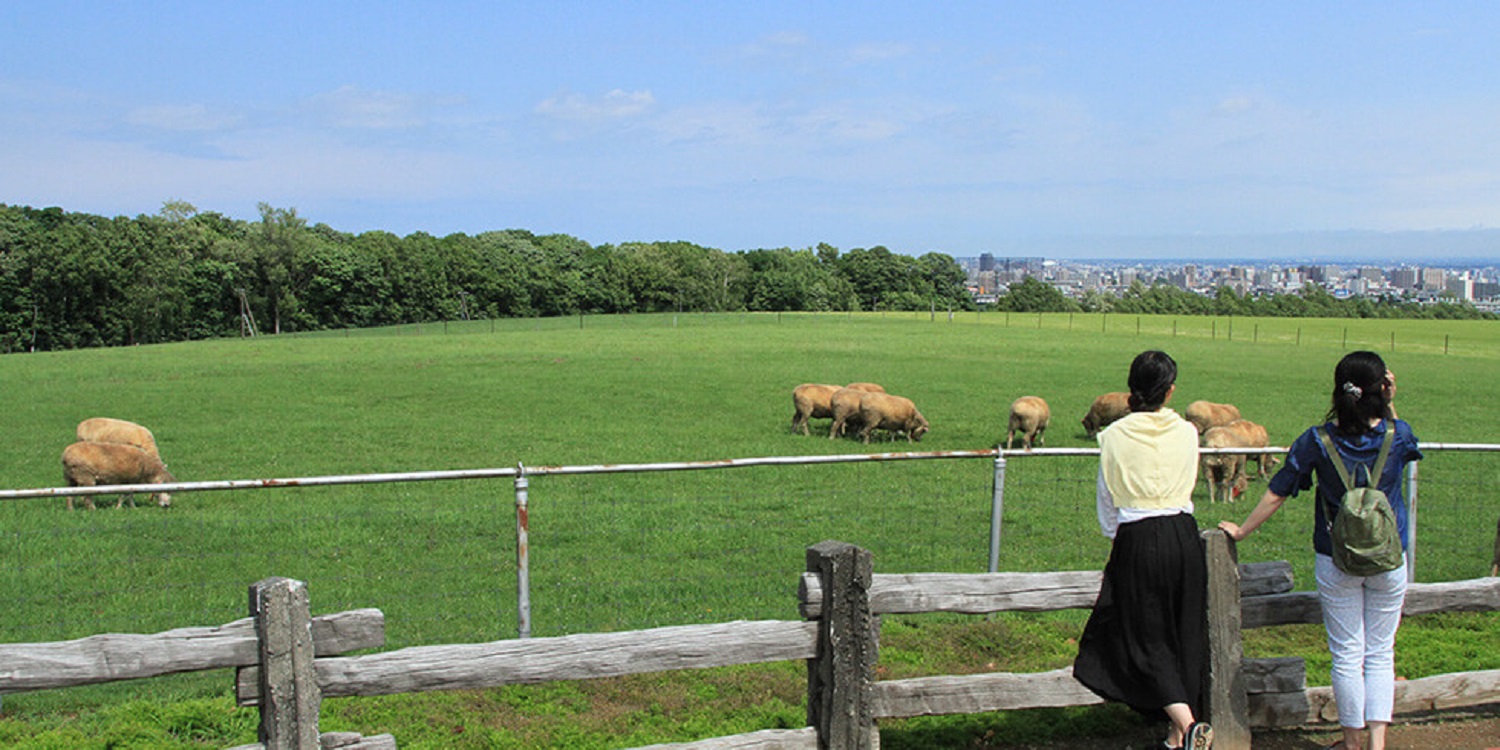 さっぽろ羊ヶ丘展望台