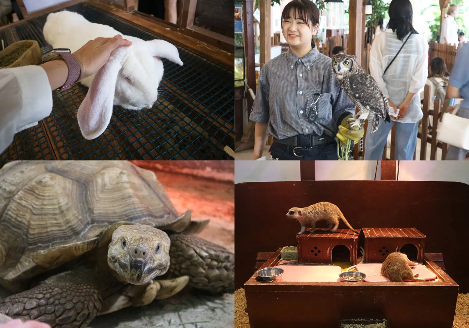 だっこして！ZOO！