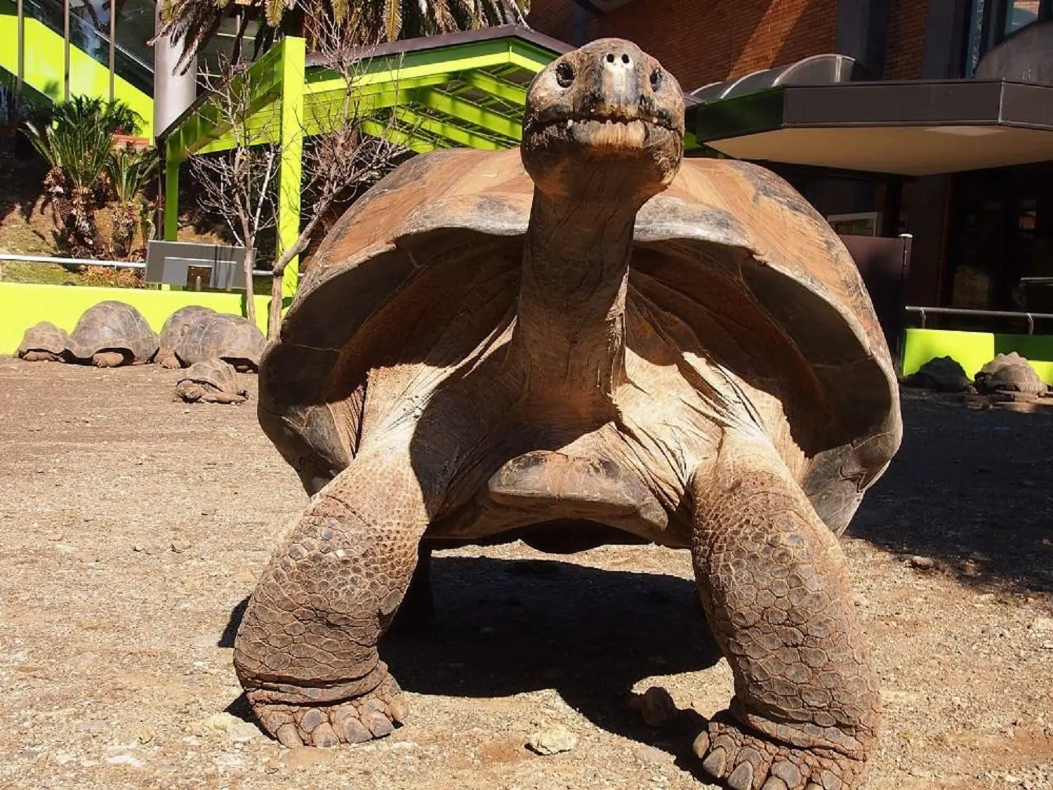 体感型動物園 iZoo