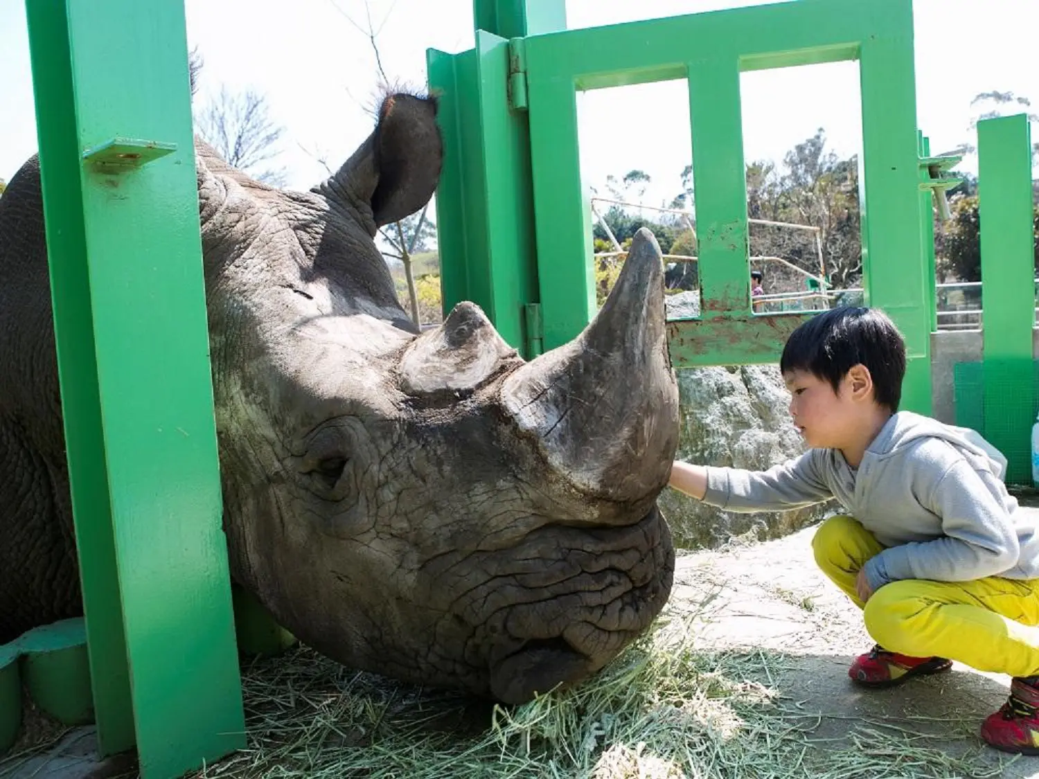伊豆アニマルキングダム