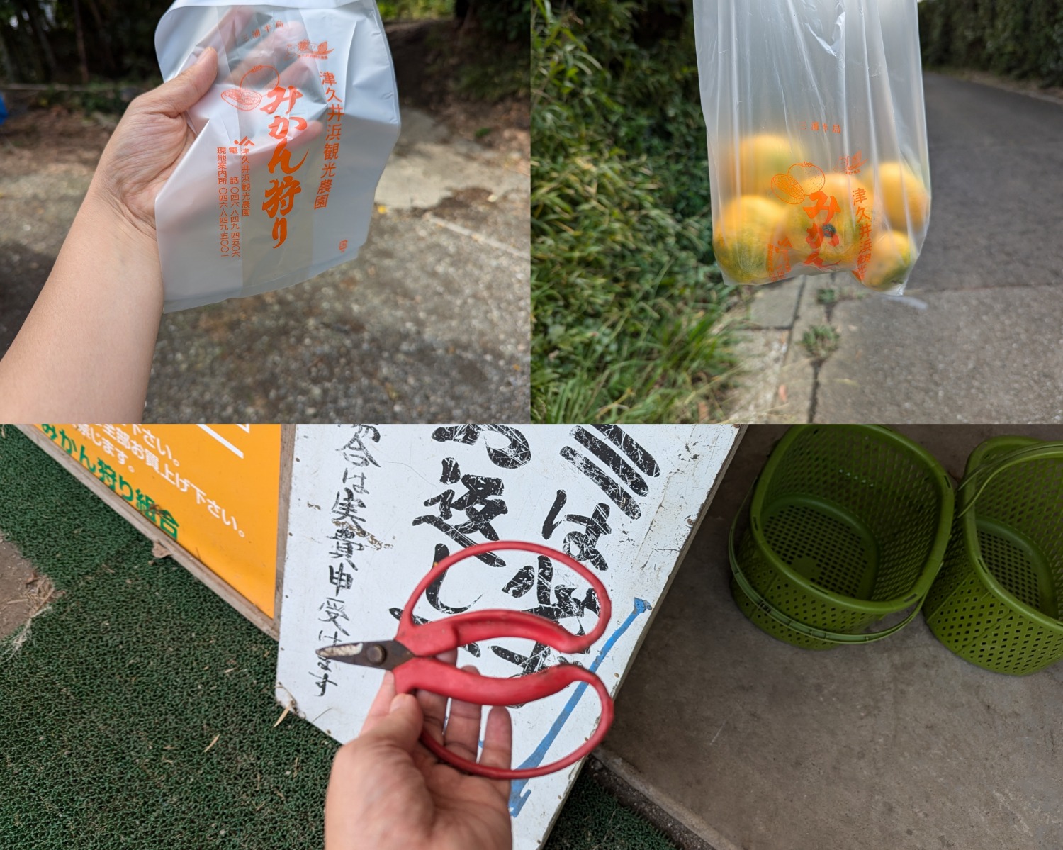 津久井浜観光農園　受付
