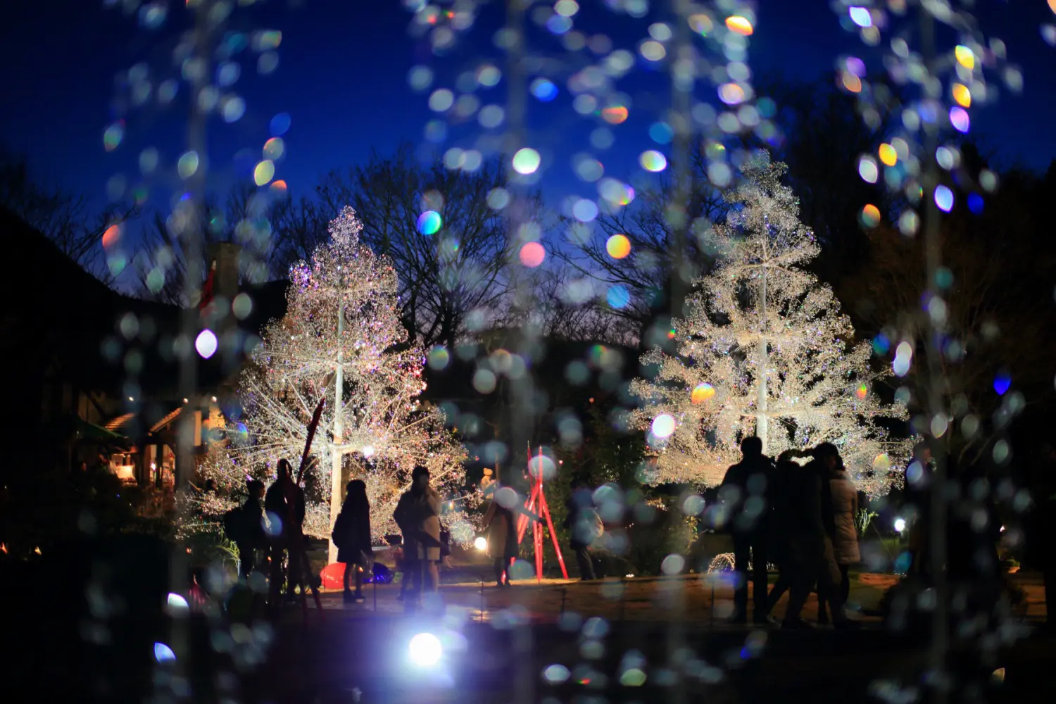 箱根ガラスの森美術館でクリスタル・イルミネーション開催！きらめく