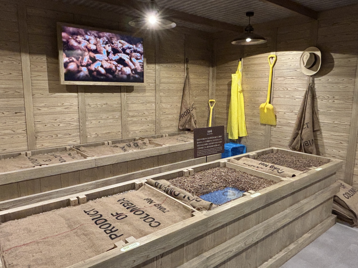 ロイズカカオファームゾーン2